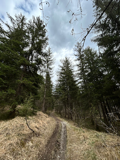 Monte Varro - Visual