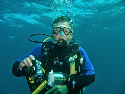 Photos of Indigo Scuba Gordons Bay