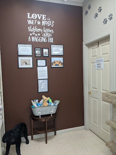 Hometown Pet Center - Thumbnail