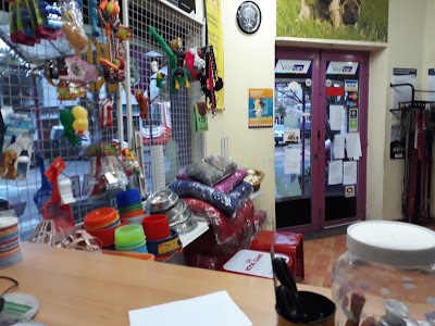 Photos of Corte Canino Veterinaria Pet