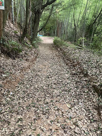 forenta 筑前キャンプエリア