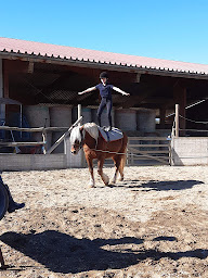 Photo n°3 de Tous Cavaliers équithérapie 66 à Saint-Génis-des-Fontaines (Centre équestre)
