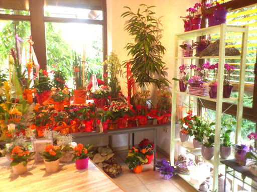 Blumen Kupfer - Visual