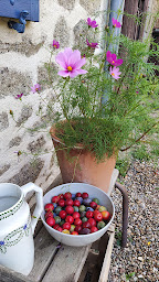 Photo n°46 de Minicamping Le Potager à Ars (Terrain de camping)
