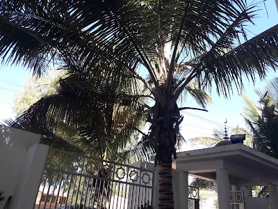 Photos of Mesquita Triunfo