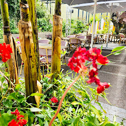 Photo n°30 de Restaurant Au Petit Charbon à Masevaux-Niederbruck (Restaurant)