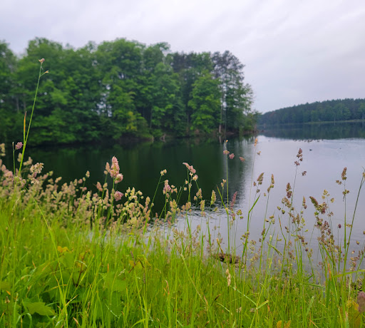 Dansville Reservoir - Thumbnail
