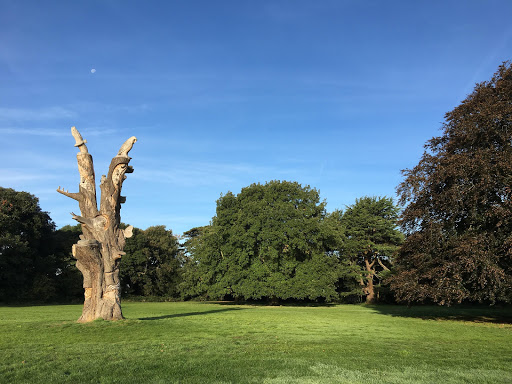 Stoke Lodge Playing Field - Thumbnail