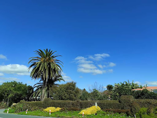 Paparoa Motor Camp - Thumbnail