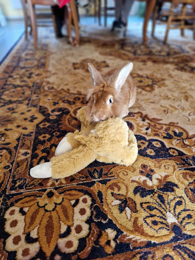 Photo de Logis Hôtel le Saint-Nicolas à Bar-sur-Aube (10200)