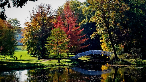 Wörlitzer Park mit Rousseau-Insel - Thumbnail