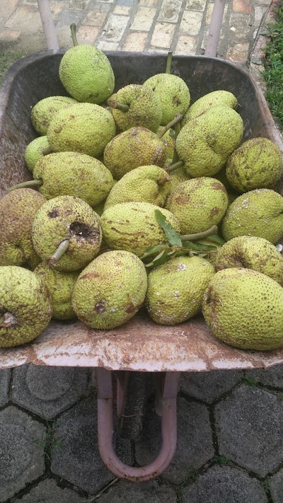 Photos of Koperasi Warga Peltim