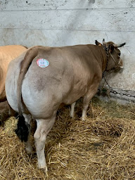 Photo n°15 de Boucherie du Théâtre à Saint-Maur-des-Fossés (Boucherie-charcuterie)