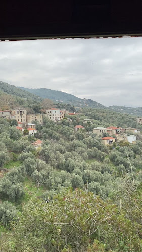 Opinii despre The Train of Pilio (Ano Lekhonia - Milies) în Λάρισα - Μουσείο