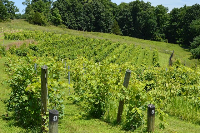Hudson-Chatham Winery