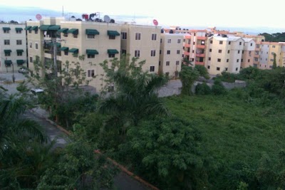 Photos of Forest Green Zone
