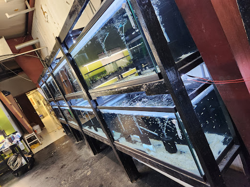 Houston Aquarium Warehouse - Thumbnail