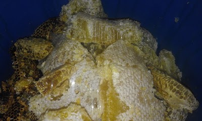 Photos of Bee Honey Shop