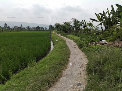 Photos of Lapangan Bulurejo Bangkit