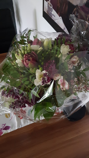 Blumen Bachmann - Thumbnail