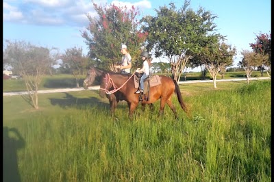 Wood Guest Ranch