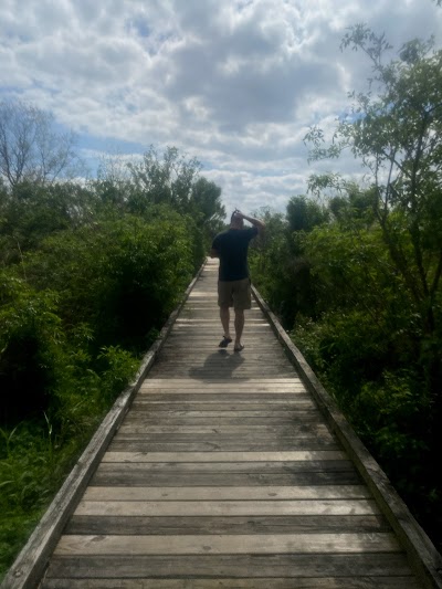 Madere Marsh Boardwalk