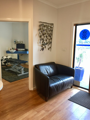 Connect Chiropractic - Visual