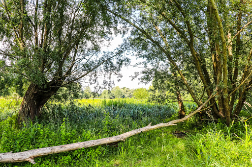 Framlingham Mere - Visual