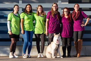 Photo n°1 de Clinique Vétérinaire des Rohan à Mutzig (Vétérinaire)