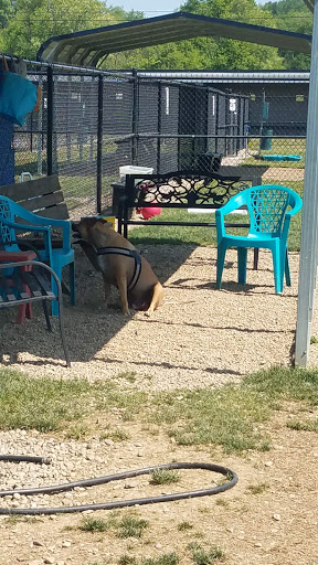 Hancock County Dog Park - Thumbnail