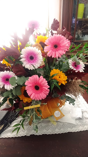 Flowers Lab - Visual