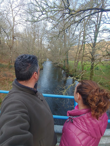 Ponte río Eume - Visual