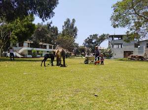 Hotel Restaurant Turístico Casablanca 4