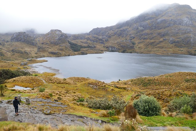 Parc national Cajas