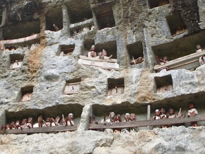Photos of Toraja Villa
