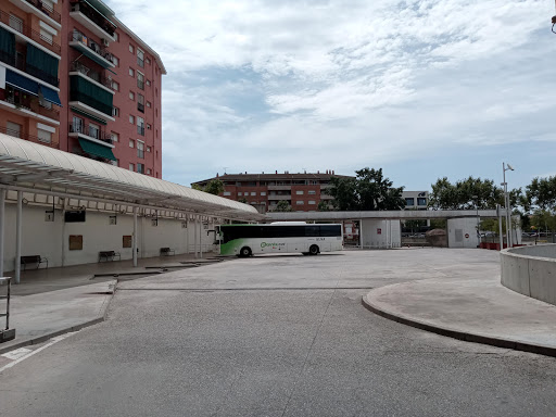 Tàrrega - Visual