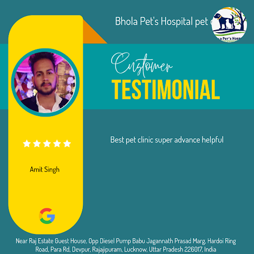 Amit Singh's furry friend received top-notch care at Bhola Pet's Hospital pet clinic in Lucknow!… post image
