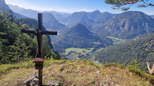 Vogelspitz