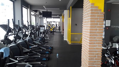 MASTER Gym