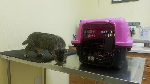 Sun Valley Animal Hospital - Thumbnail