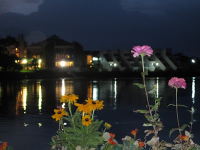Photos of Summerland Hotel