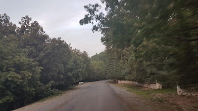 Photos of Station TOTAL محطة طوطال
