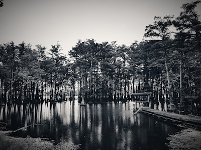 Horseshoe Lake-Alexander