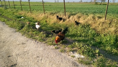 Photos of K&ouml;yden Soframa (koydensoframa.com)(istekoyden.com)