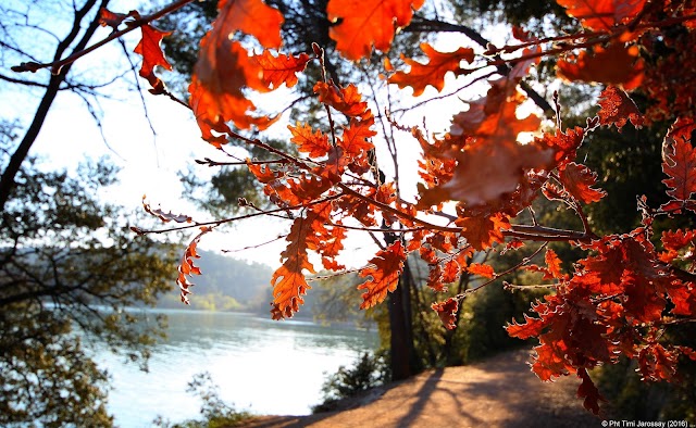 Lac de Carcès