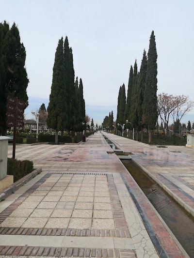 Photos of Citizen Park