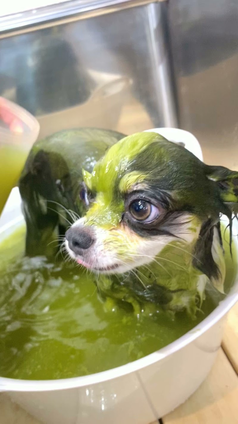 ドッグケアハウスcoco＊teto(ココテト)