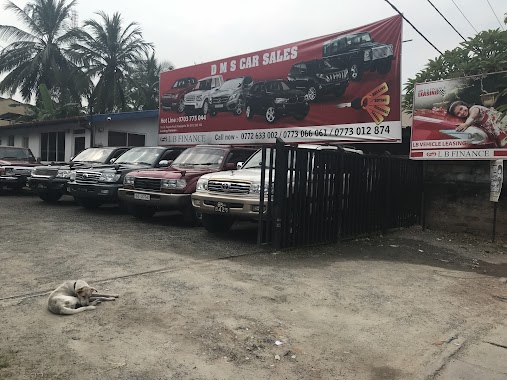 DMS Car Sales, Author: Sukumal Harischandra