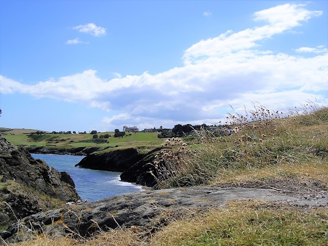 Comté de Wicklow