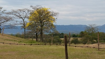 Photos of Ricaurte Park
